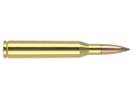 Nosler 25-06 Remington 100gr Expansion Tip #40238