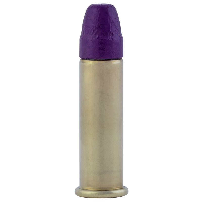 CCI Clean 22LR 31gr Poly-Coated