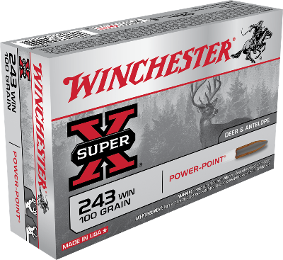 Winchester 243 Win 100gr PowerPoint