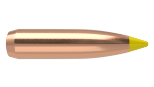 Nosler 270cal 140gr Ballistic Tip  #27140