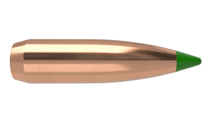 Nosler 30cal 168gr Ballistic Tip  #30168