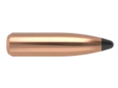Nosler 6mm 100gr Partition #35642