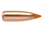 Nosler 22cal 50gr Ballistic Tip  #39557