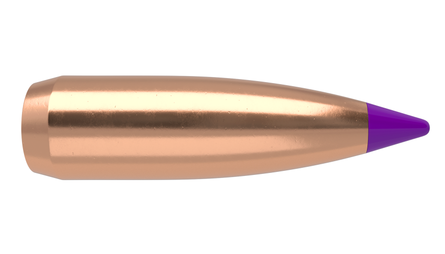 Nosler 6mm 70gr Ballistic Tip #39532