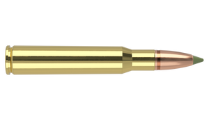 Nosler 30-06 Sprg 168gr Expansion Tip