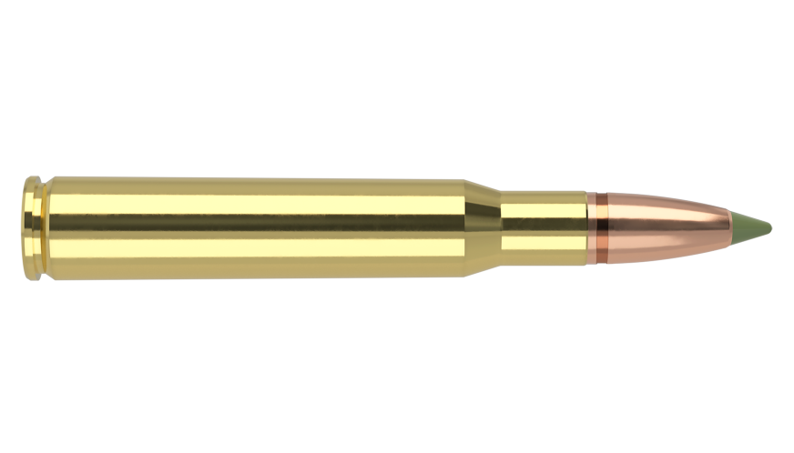 Nosler 30-06 Sprg 180gr Expansion Tip