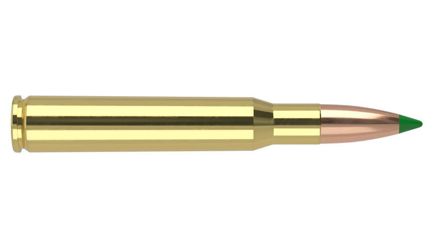 Nosler 30-06 Sprg 165gr Ballistic Tip