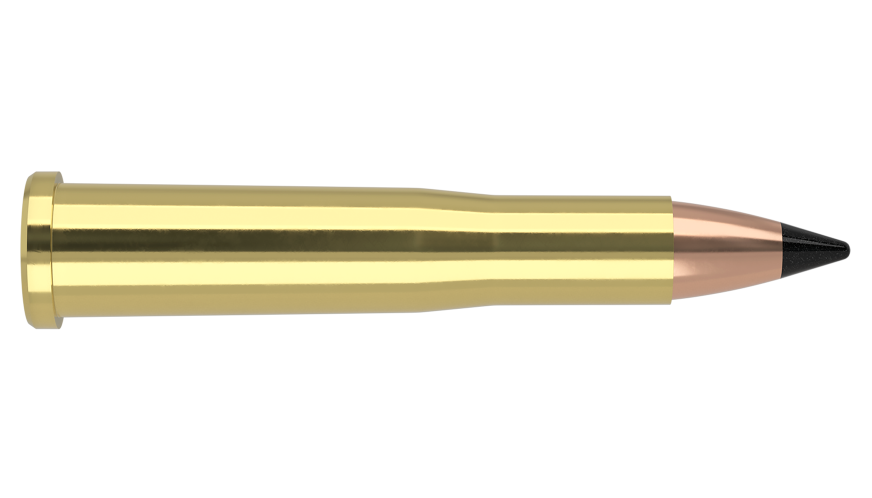 Nosler 22 Hornet 35gr FB Tipped #41132