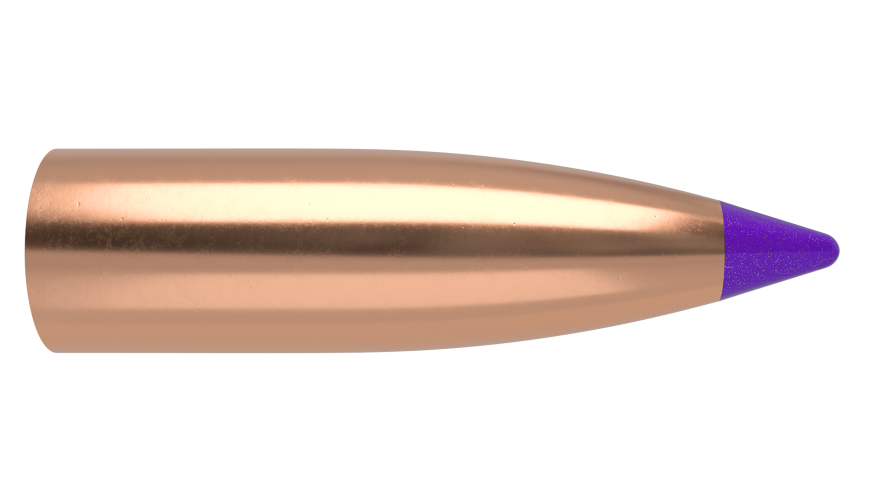 Nosler 6mm 55gr Ballistic Tip Lead Free #45170