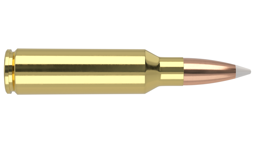 Nosler 300 WSM 180gr AB SP