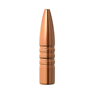 Barnes 25cal 100gr TSX BT #30222
