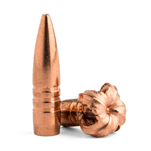Barnes 25cal 100gr TSX BT #30222