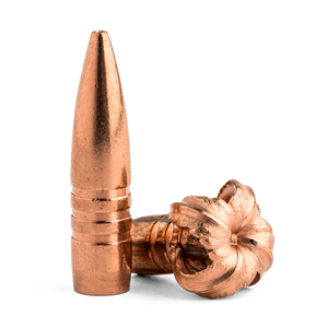 Barnes 25cal 100gr TSX BT #30222