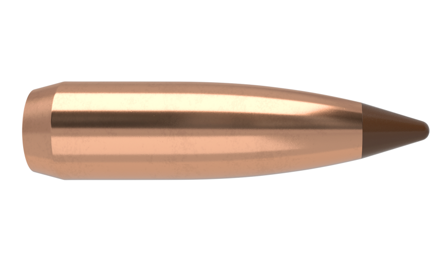 Nosler 6.5mm 100gr Ballistic Tip #26100