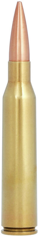 Federal Gold Metal 338 Lapua Mag 300gr