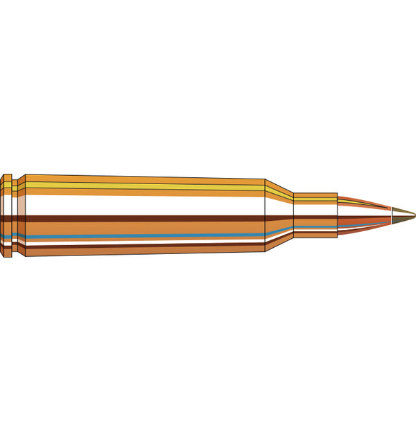 Hornady 22-250 Rem 35gr NTX