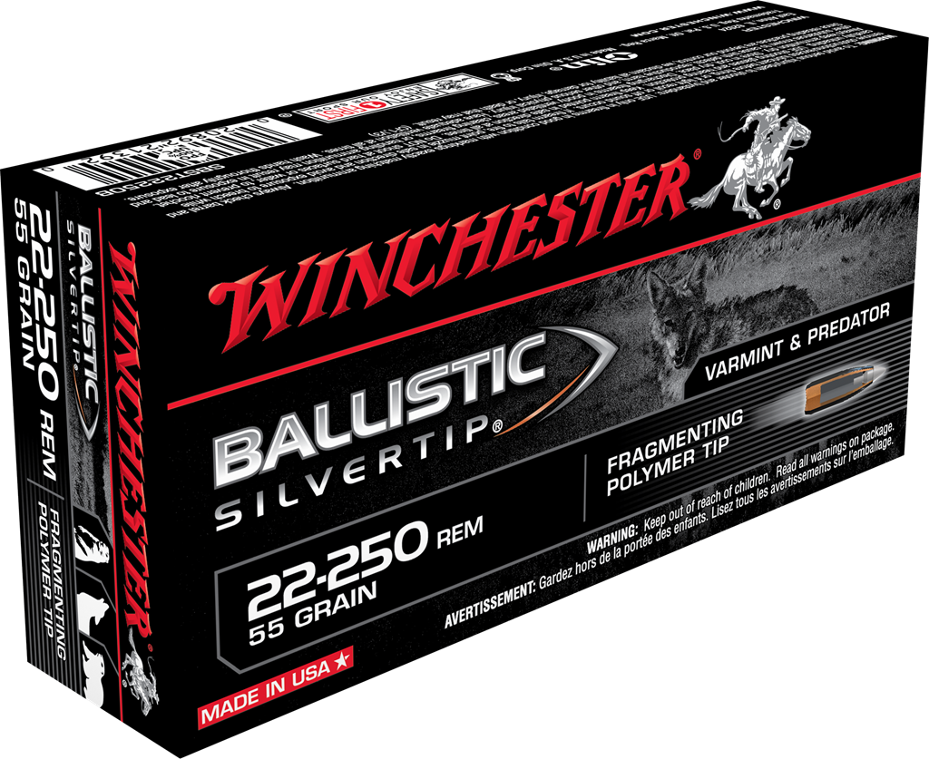 Winchester 22-250 Rem 55gr Ballistic Silvertip