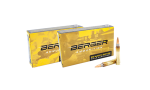 Berger 223 Rem 73gr BT Target