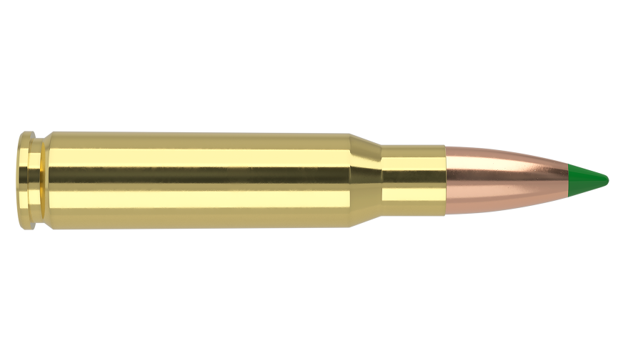 Nosler 308 Win 125gr Ballistic Tip