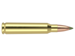 Nosler 223 Rem 55gr E-Tip