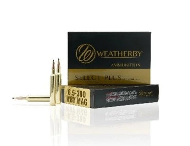 Weatherby 6.5-300 WBY Mag 140gr Interlock