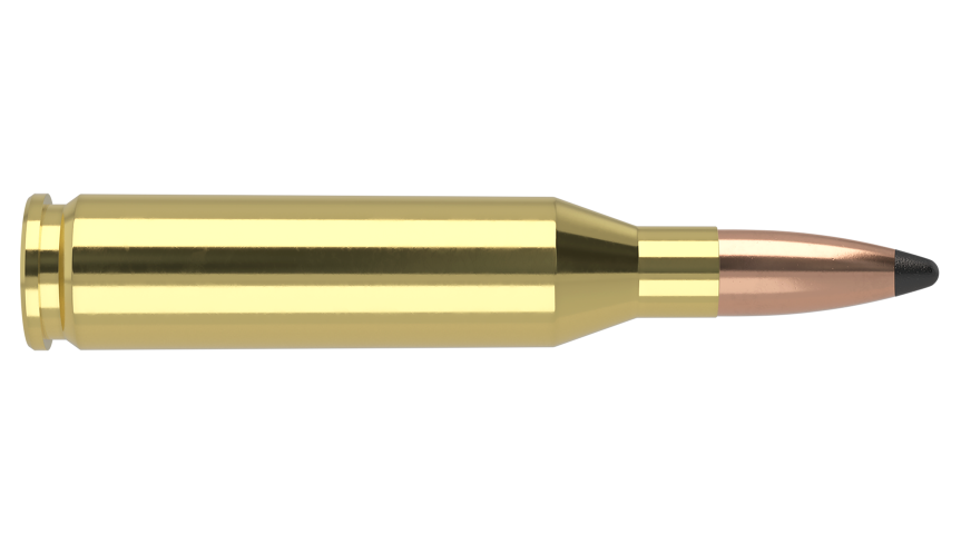 Nosler 243 Win 85gr Partition