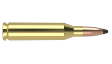 Nosler 243 Win 85gr Partition