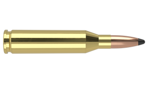 Nosler 243 Win 85gr Partition