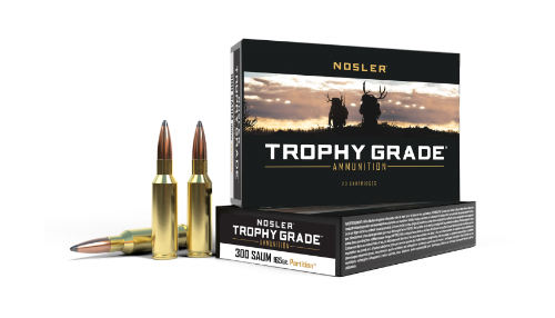 Nosler 300 SAUM 165gr Partition