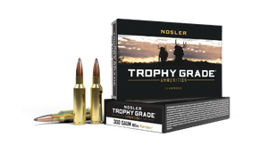 Nosler 300 SAUM 165gr Partition