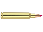 Nosler 204 Ruger 40gr Ballistic Tip SP