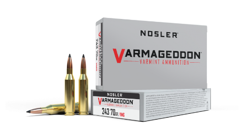 Nosler 243 Win 70gr FB Tipped