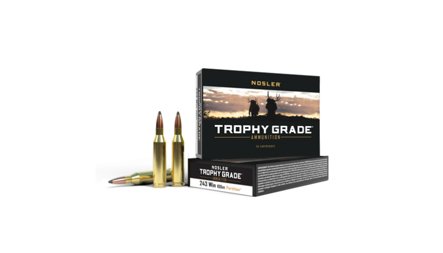 Nosler TGA 243 WIN 100gr Partiton