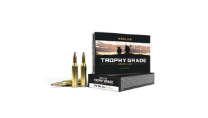 Nosler TGA 243 WIN 100gr Partiton