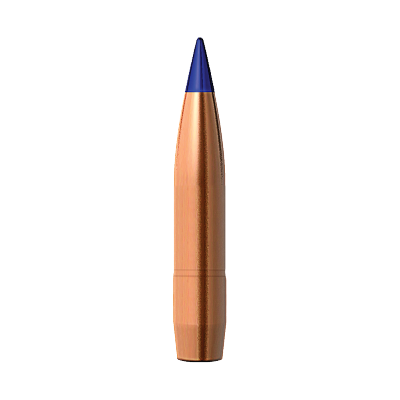 Barnes 30cal 212gr LRX BT Bore Rider #30376