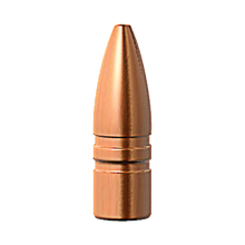 Barnes 22cal 50gr TSX FB #30174