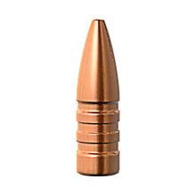 Barnes 22cal 55gr TSX FB #30182