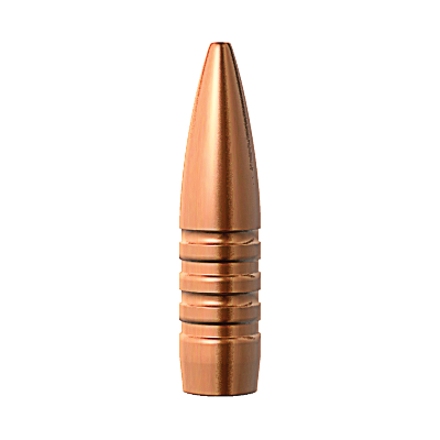 Barnes 30cal 165gr TSX BT #30349