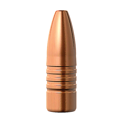 Barnes 45cal 450gr TSX FB #30619
