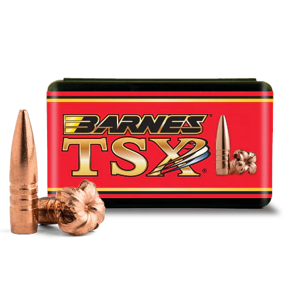 Barnes 338cal 250gr TSX FB #30415
