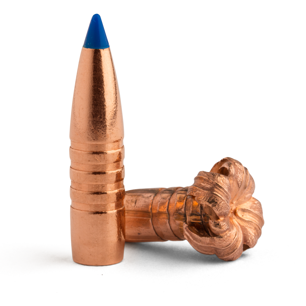 Barnes 45cal 300gr TTSX BT #30642