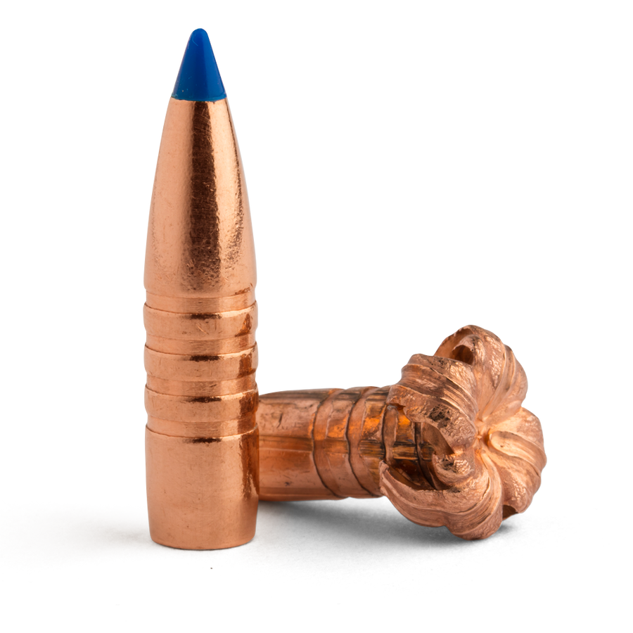 Barnes 45cal 300gr TTSX BT #30642