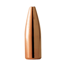 Barnes 22cal 50gr HP FB #30178