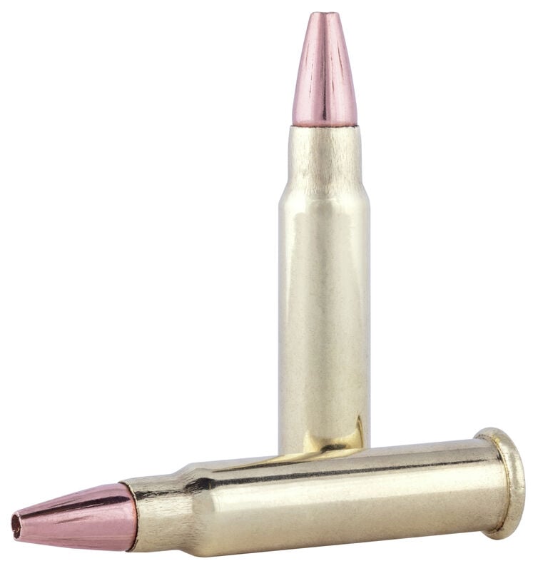 Federal Varmint & Predator 17 HMR 17gr TNT