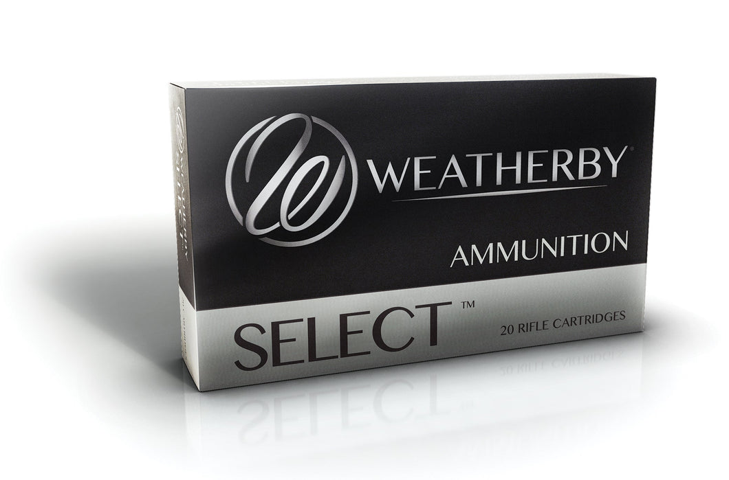 Weatherby 300 WBY Mag 180gr Interlock
