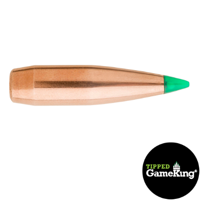 Sierra 6mm 90gr TGK